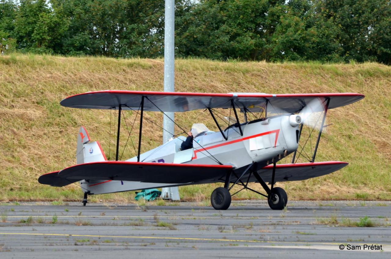 Stampe